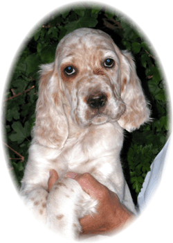 Marvin mit 2 Monaten