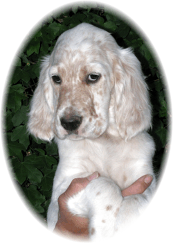 Rodney mit 2 Monaten