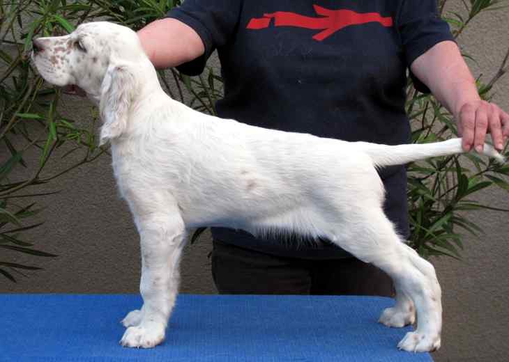 Trevor mit 2 Monaten