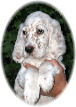 Trevor mit 2 Monaten